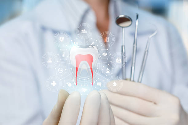 Reliable Holiday Heights, NJ  Holistic Dental Services Solutions